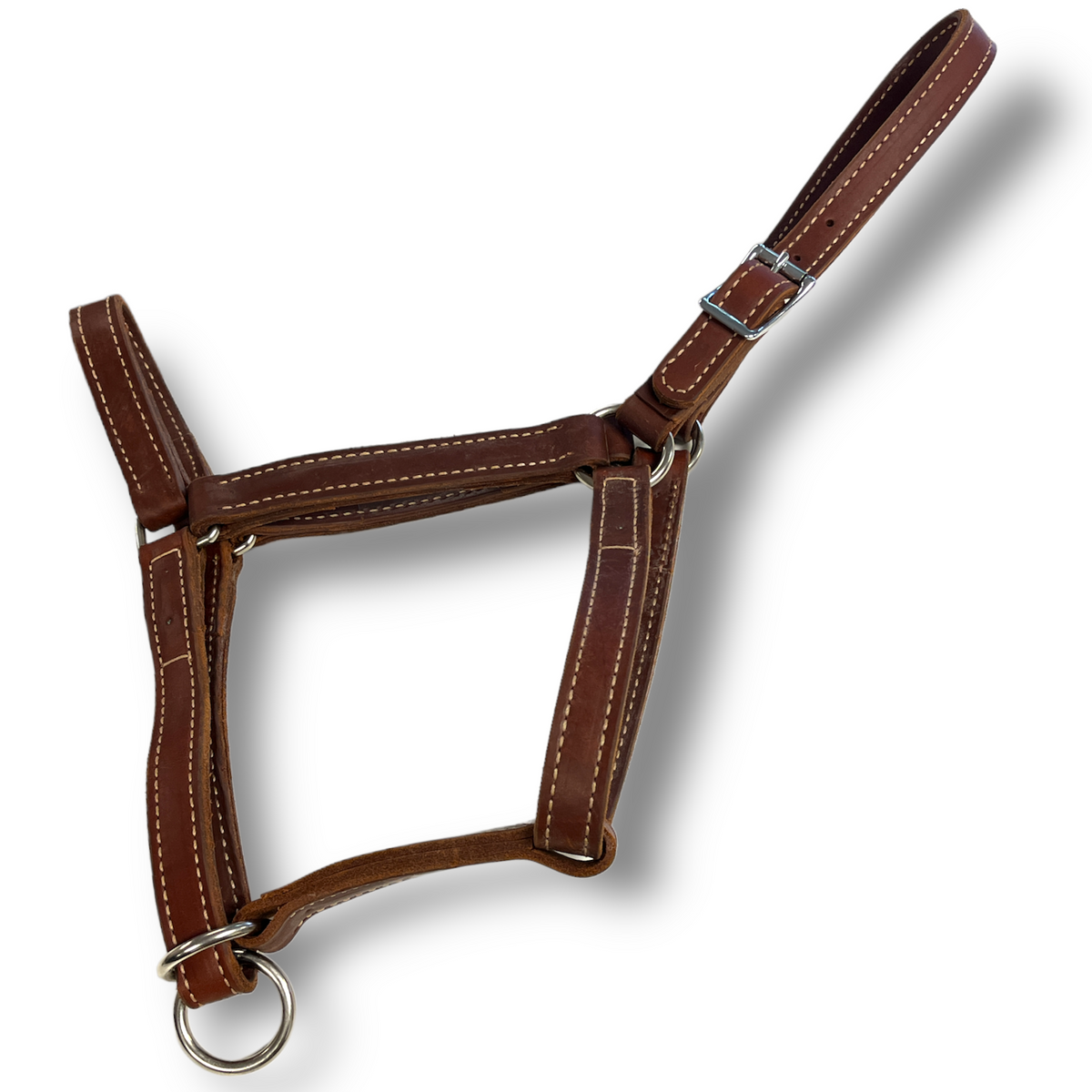 LEATHER DRAFT HALTER – Kootenay Tack